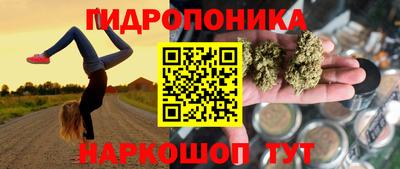 spice Лесосибирск