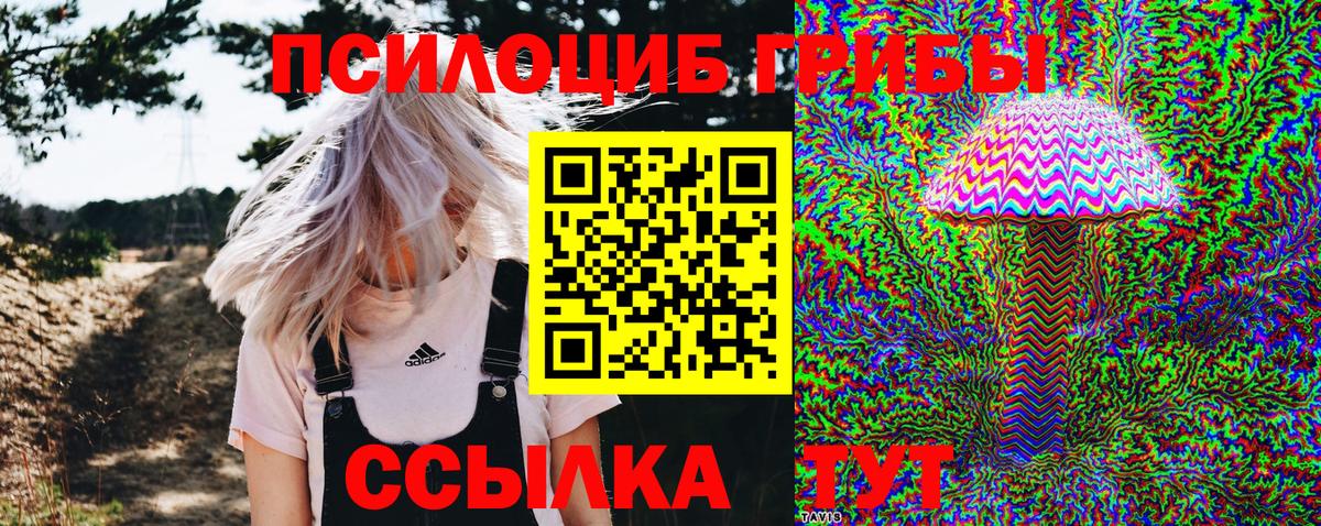 Галлюциногенные грибы мухоморы  Псилоцибиновые грибы GOLDEN TEACHER  купить   Чебаркуль  Вход с VPN 