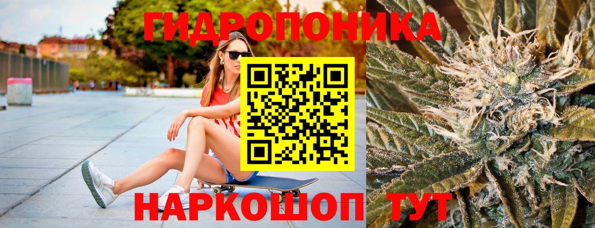 Каннабис гибрид  Вход с VPN  Бошки марихуана план  МАРИХУАНА марихуана  Чебаркуль 